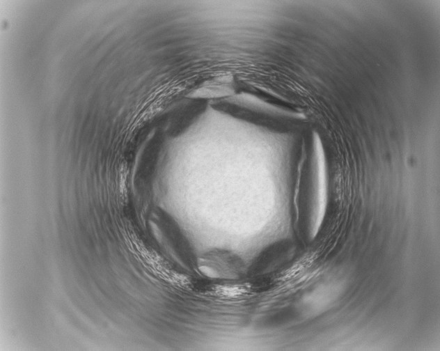 X0000054470662200508270131