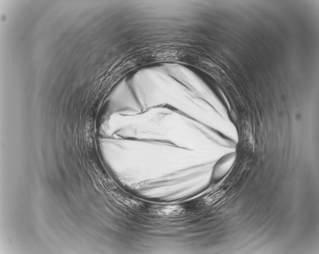 X0000054470663200508270131