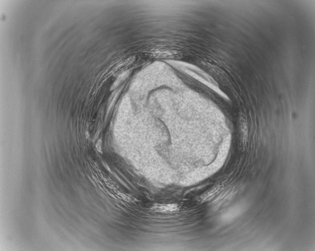 X0000054470665200508270131