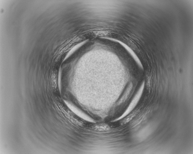 X0000054470666200508270131