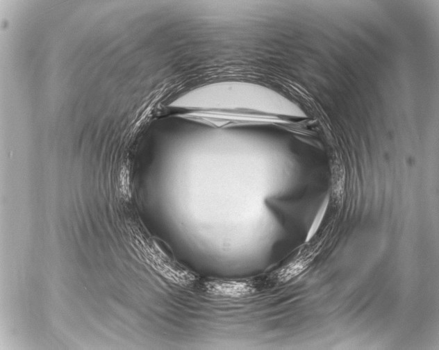 X0000054470669200508270131