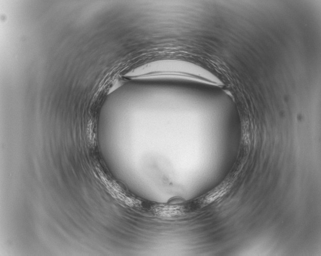 X0000054470670200508270131