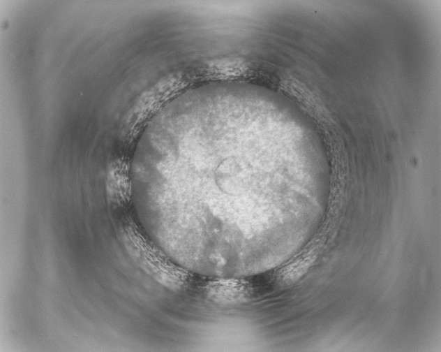 X0000054470672200508270131