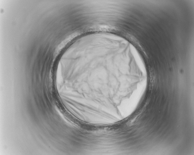 X0000054470674200508270130