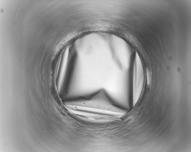 X0000054470675200508270130