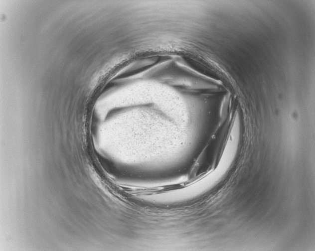 X0000054470677200508270130