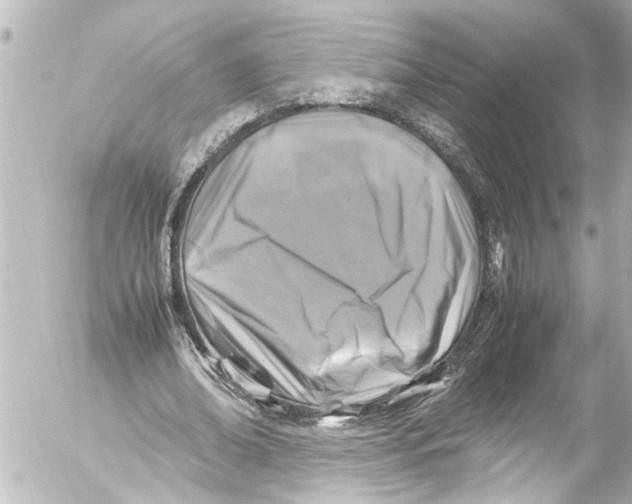 X0000054470678200508270130