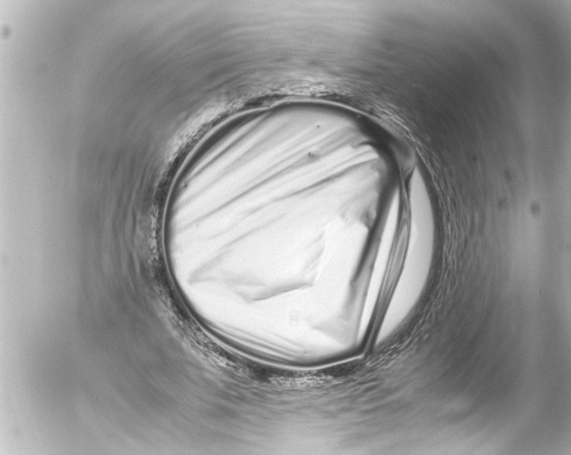 X0000054470679200508270130