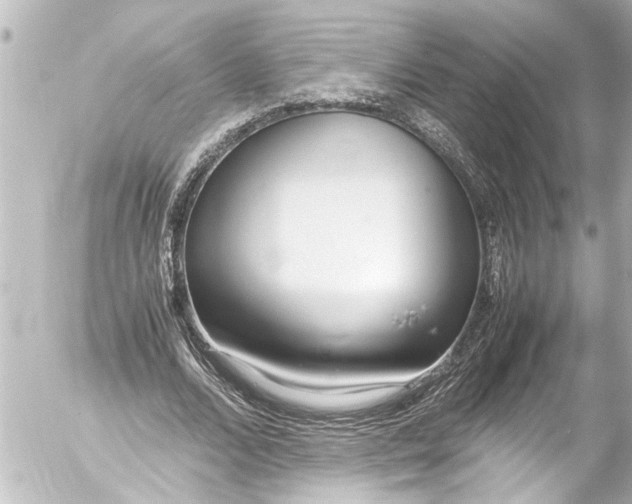 X0000054470680200508270130