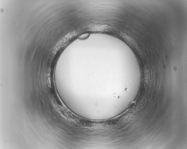 X0000054470682200508270130