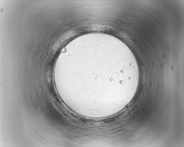 X0000054470683200508270130