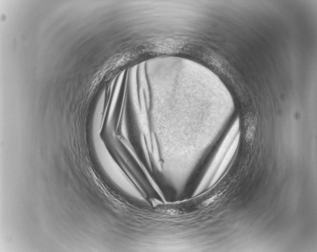 X0000054470685200508270130