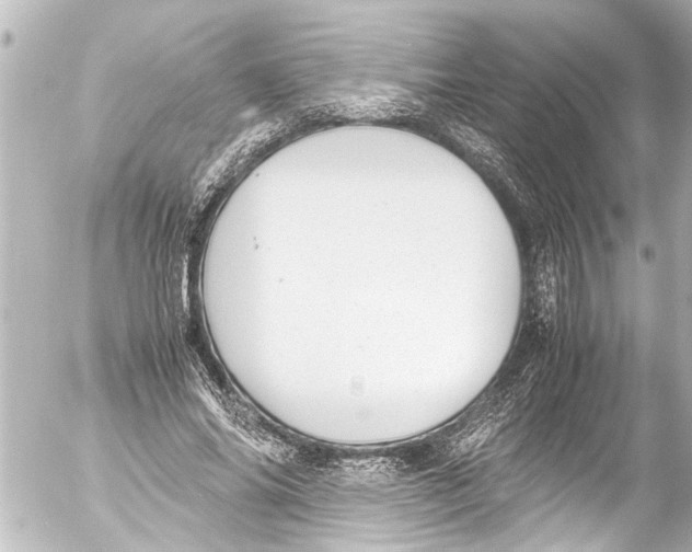 X0000054470686200508270130