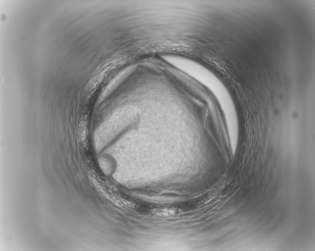 X0000054470687200508270130