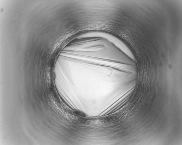 X0000054470688200508270130