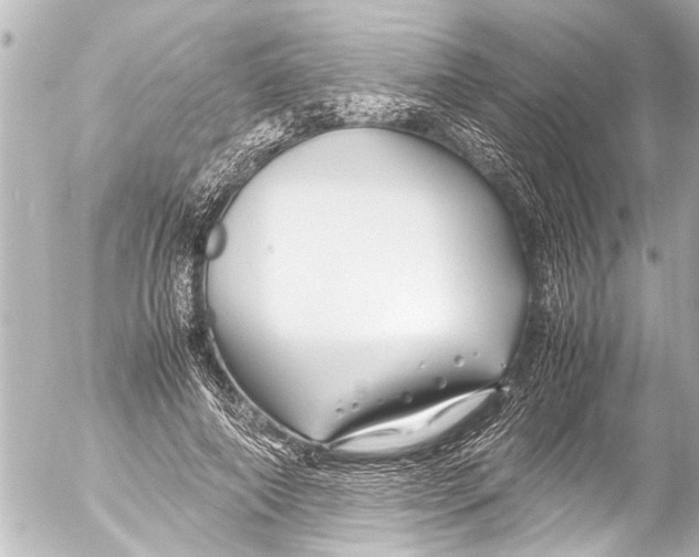 X0000054470690200508270130