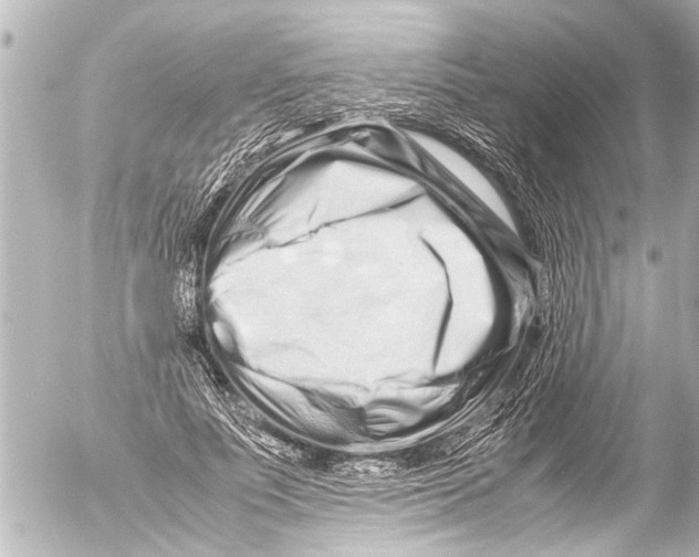 X0000054470691200508270130