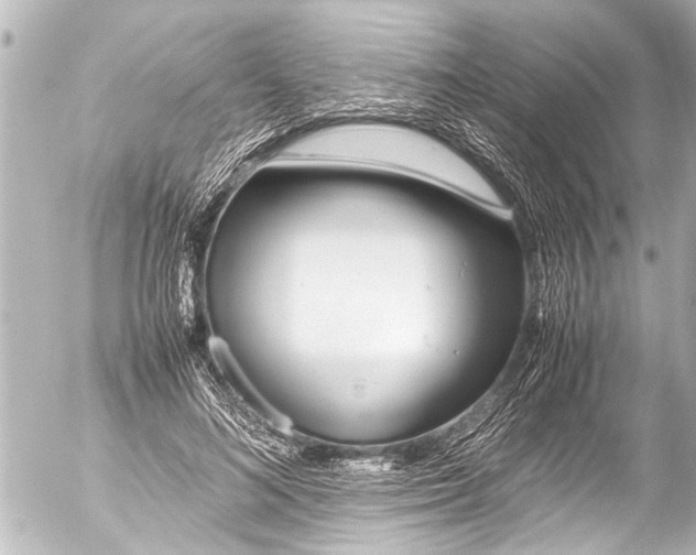 X0000054470692200508270130