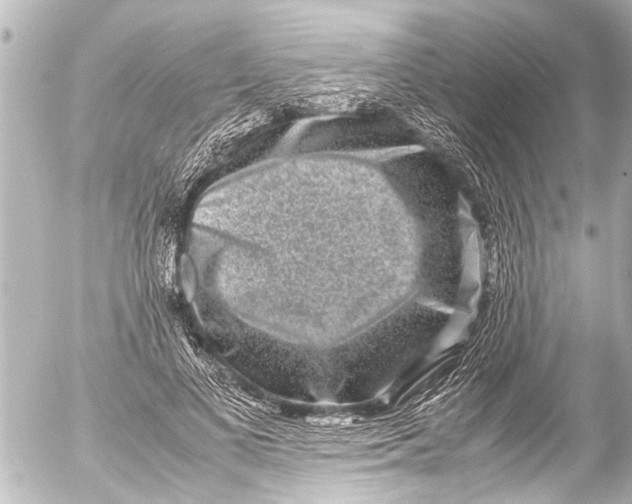 X0000054470693200508270130