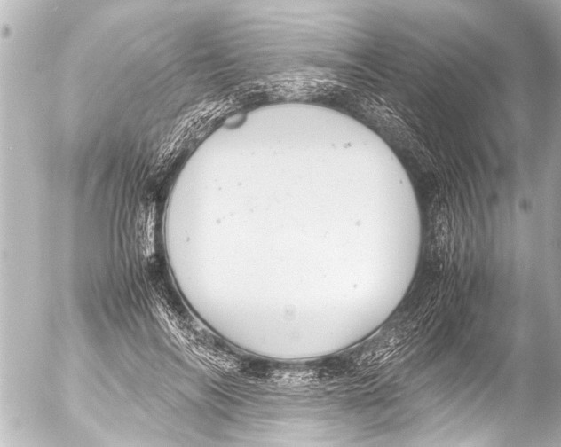 X0000054470694200508270130