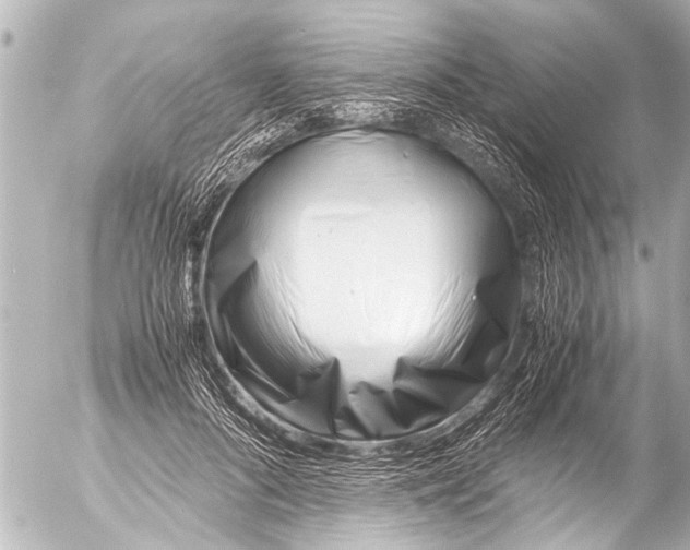 X0000054470696200508270130