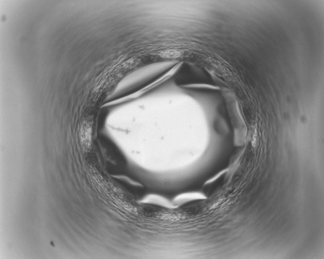 X0000054470697200508270130