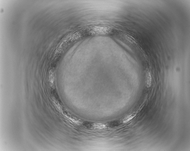 X0000054470701200508270130