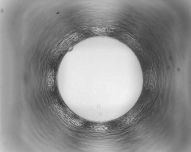 X0000054470702200508270130