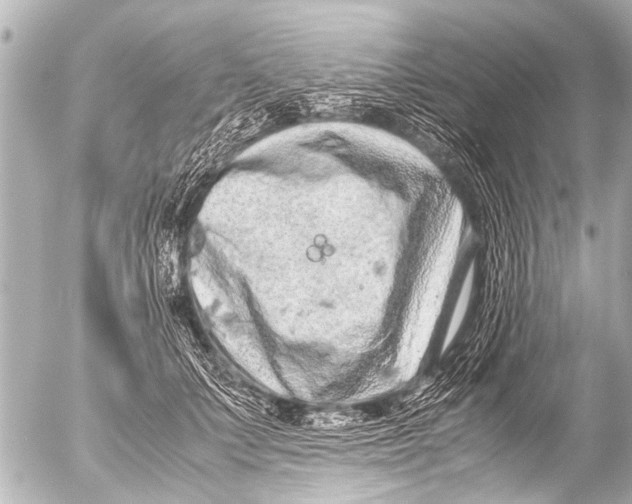 X0000054470703200508270130