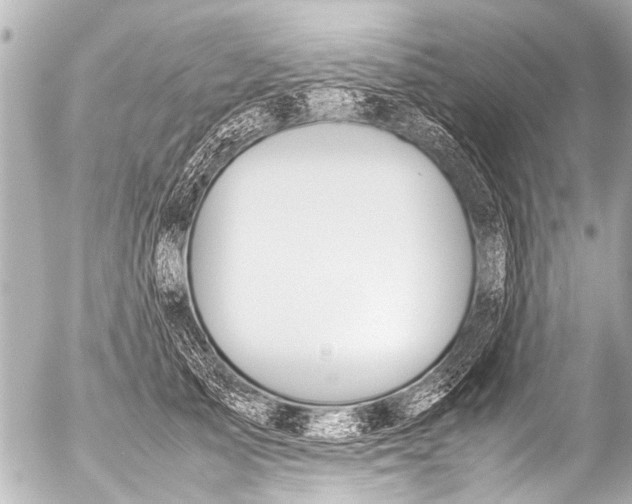 X0000054470705200508270129