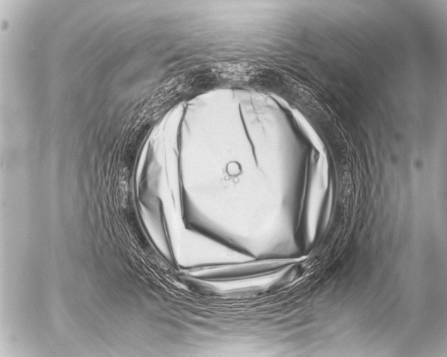 X0000054470707200508270129