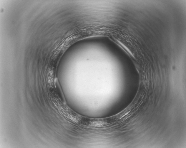 X0000054470708200508270129