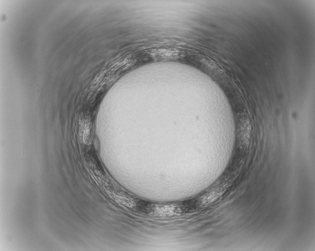 X0000054470709200508270129