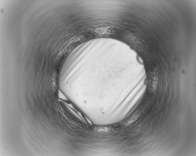 X0000054470710200508270129