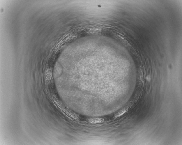 X0000054470711200508270129