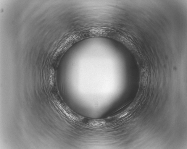 X0000054470712200508270129