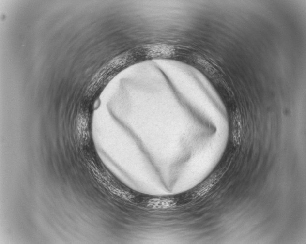 X0000054470714200508270129