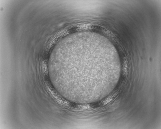 X0000054470715200508270129