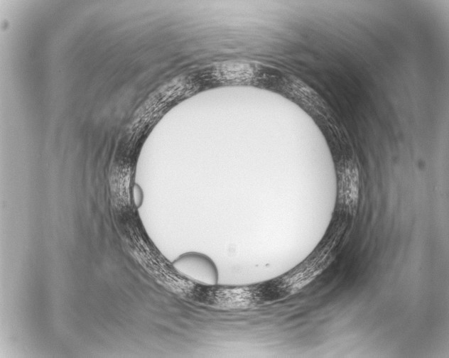 X0000054470717200508270129