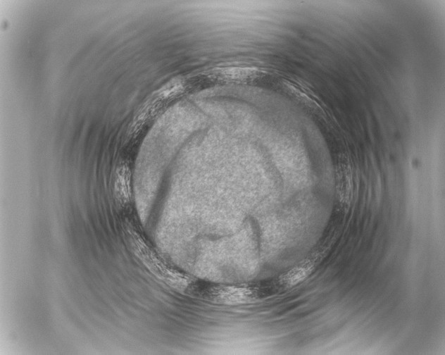 X0000054470718200508270129