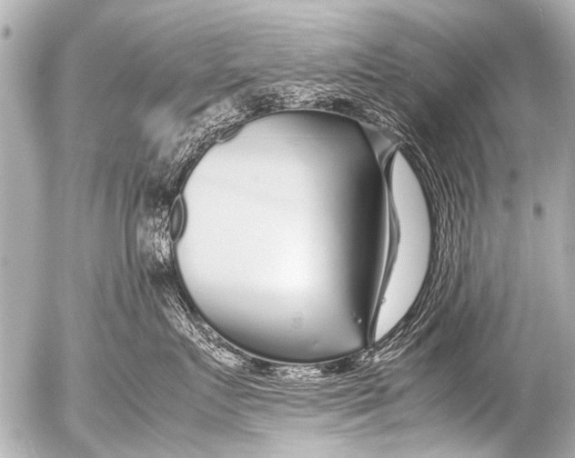 X0000054470719200508270129