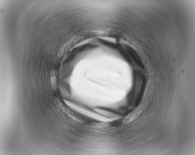 X0000054470720200508270129