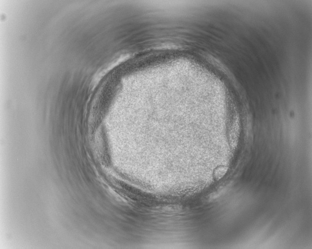 X0000054470721200508270128