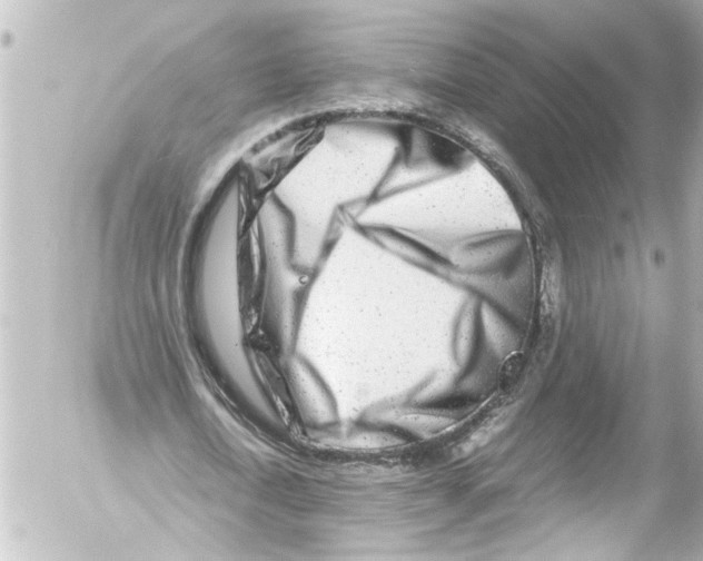 X0000054470722200508270128