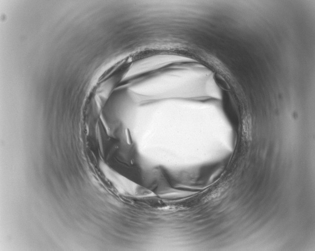 X0000054470724200508270128