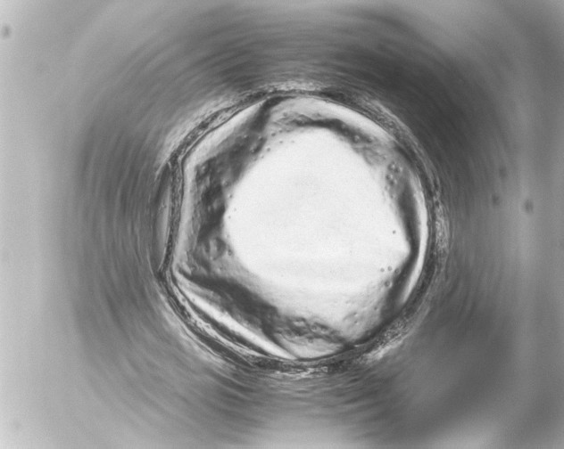 X0000054470725200508270128