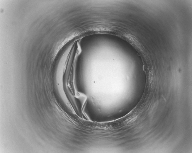 X0000054470727200508270129