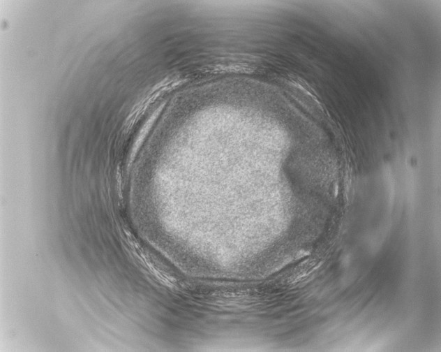 X0000054470729200508270129