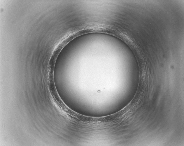 X0000054470730200508270129