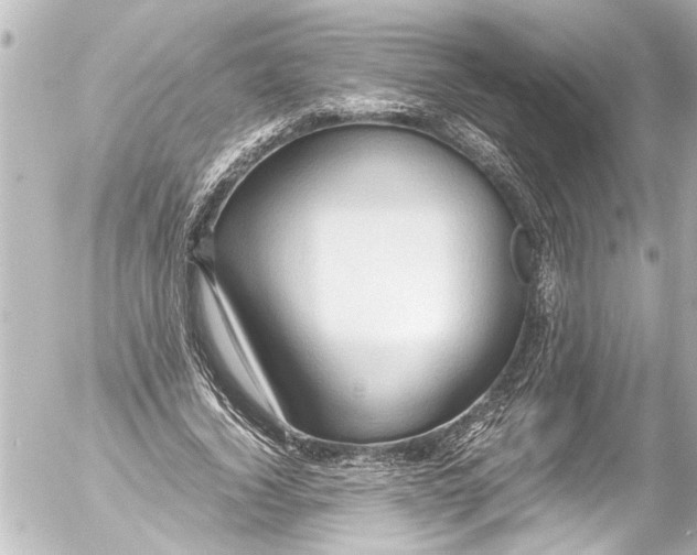 X0000054470732200508270129